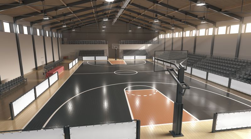 Basketball Court Construction and Maintenance — cost of