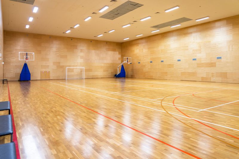 Basketball Court Construction and Maintenance — cost of